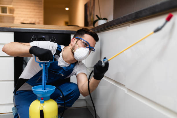 Best Pest Prevention Services  in Stanford, CA