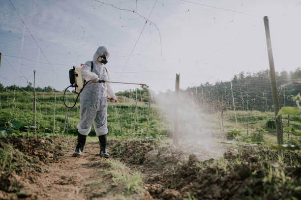 Best Pest Removal Services  in Stanford, CA