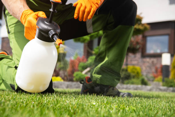 Best Pest Control for Restaurants  in Stanford, CA
