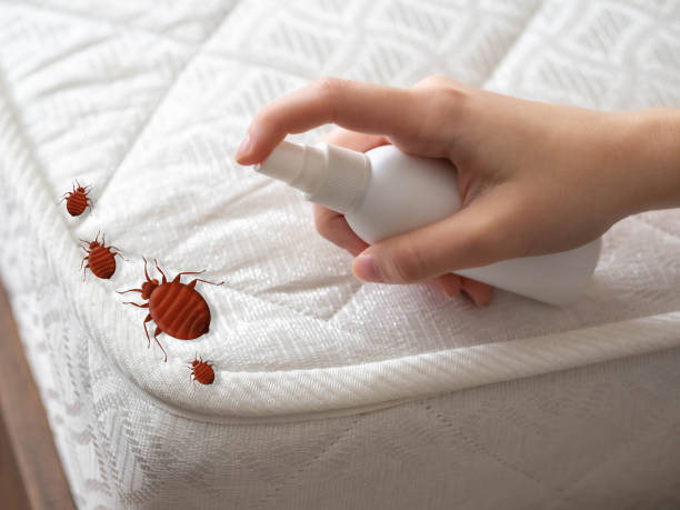 Best Bed Bug Extermination  in Stanford, CA
