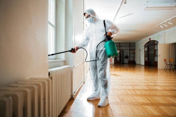 Best Rat Extermination Near Me  in Stanford, CA